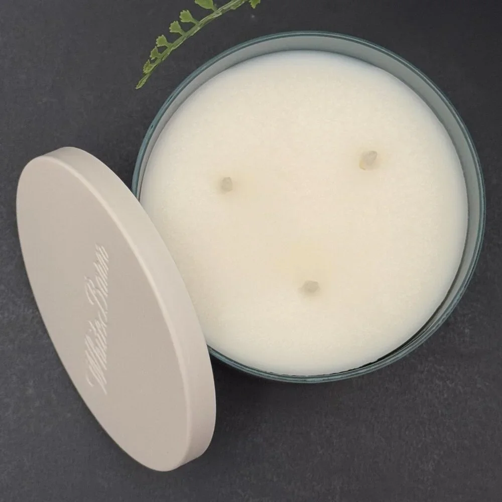 BBW Snowflakes & Citrus White Barn Bath & Body Works 3 Wick Candle